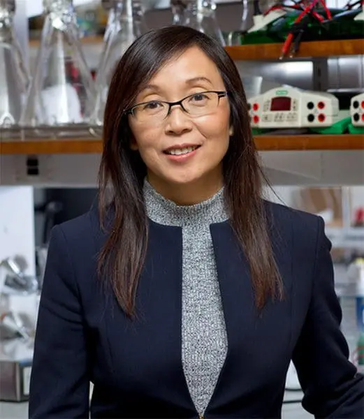 ISMND Li Gan Dietmar Thal, MD, PhD